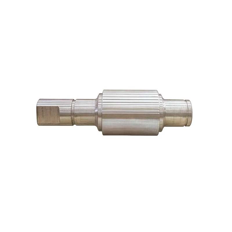 Indefinite Chilled Ductile Iron Roll factory